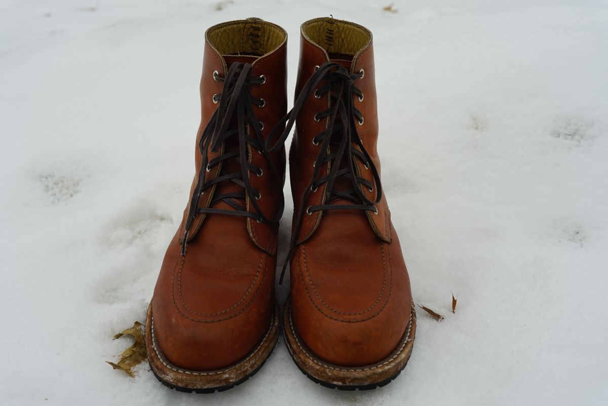Photo by alleycat on January 4, 2026 of the Red Wing Clara in S.B. Foot Oro Legacy.