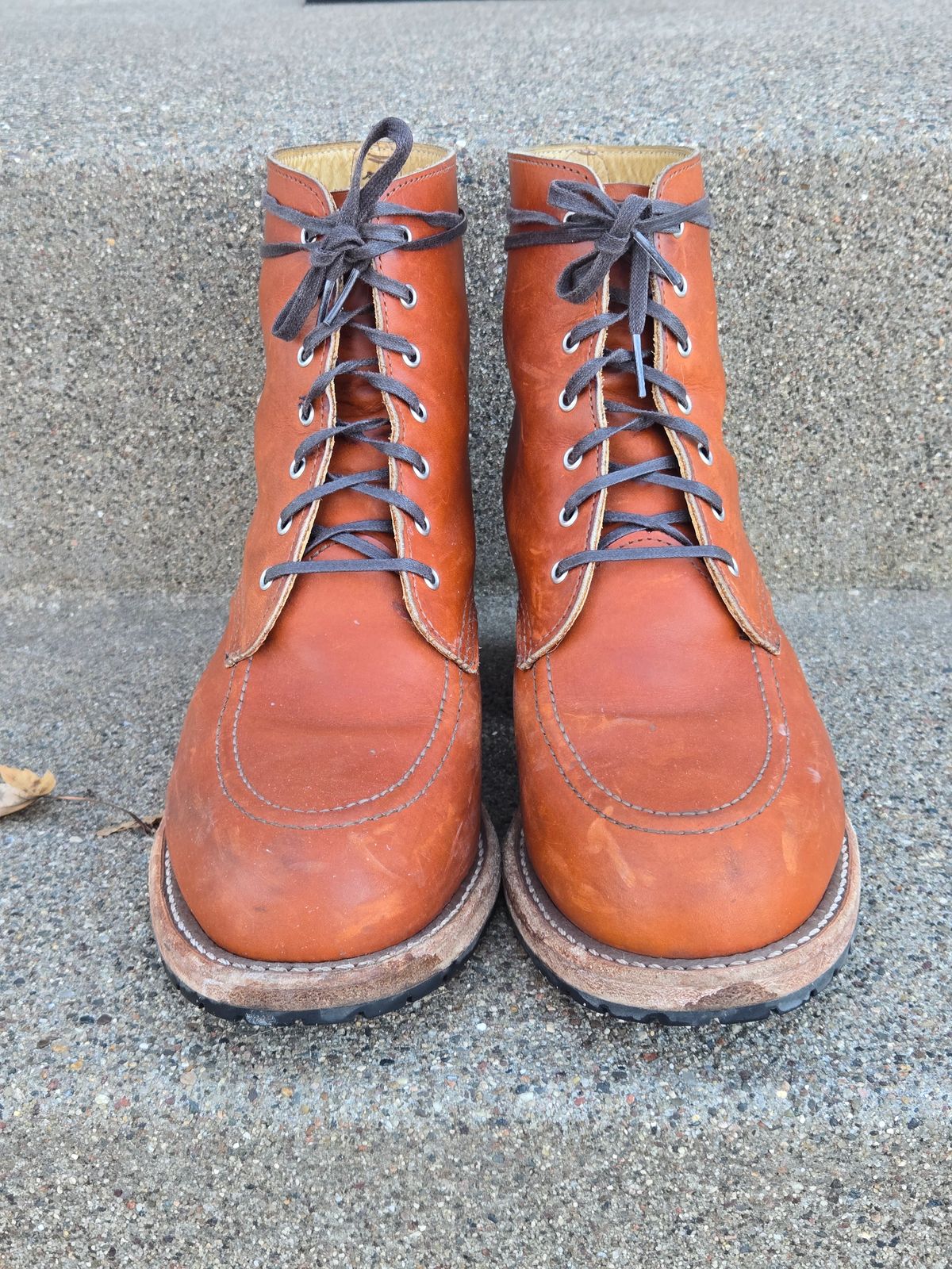 Photo by alleycat on February 5, 2026 of the Red Wing Clara in S.B. Foot Oro Legacy.