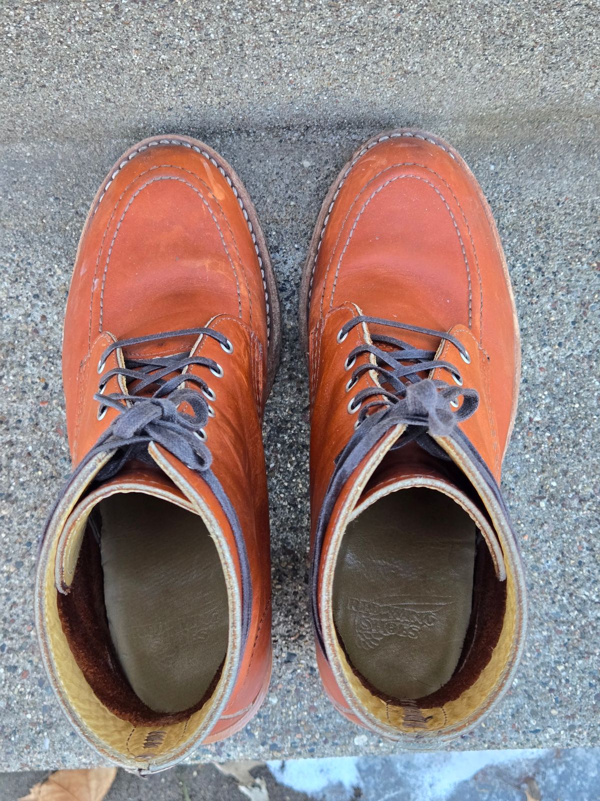 Photo by alleycat on February 5, 2026 of the Red Wing Clara in S.B. Foot Oro Legacy.