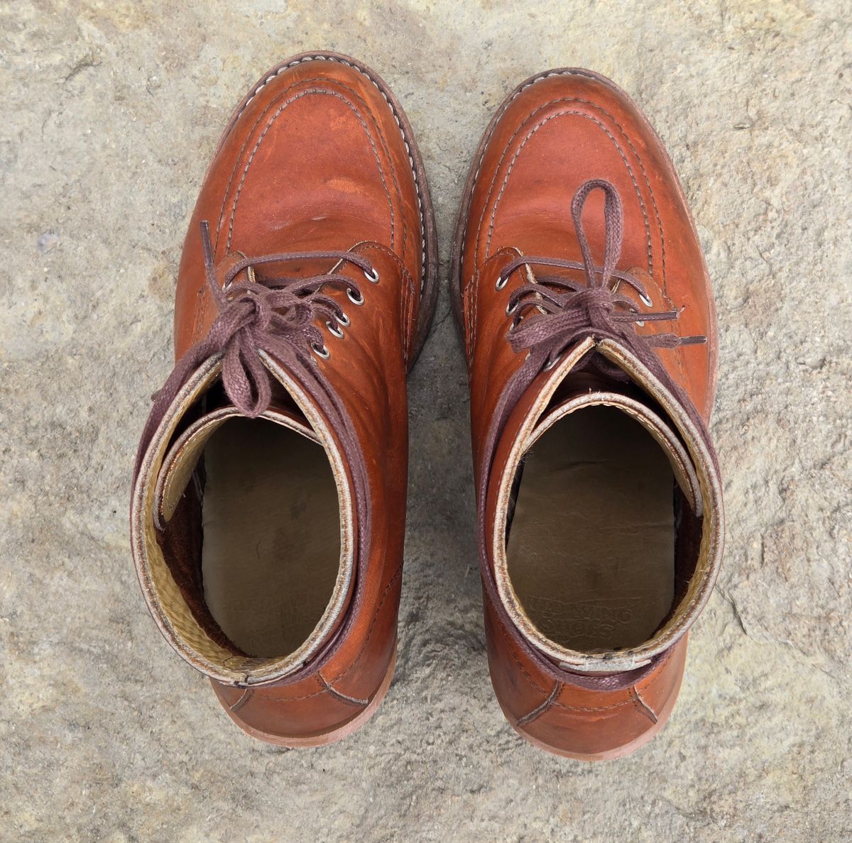 Photo by alleycat on March 5, 2026 of the Red Wing Clara in S.B. Foot Oro Legacy.