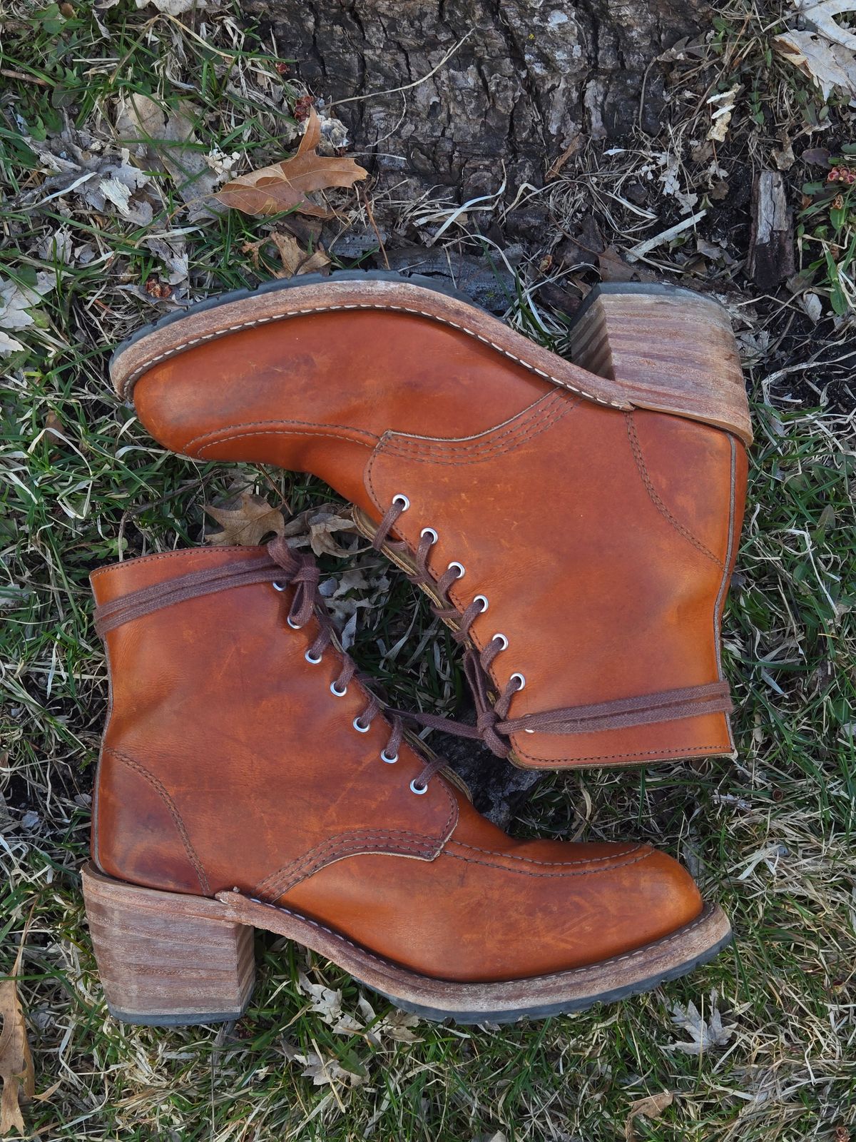 Photo by alleycat on April 5, 2026 of the Red Wing Clara in S.B. Foot Oro Legacy.