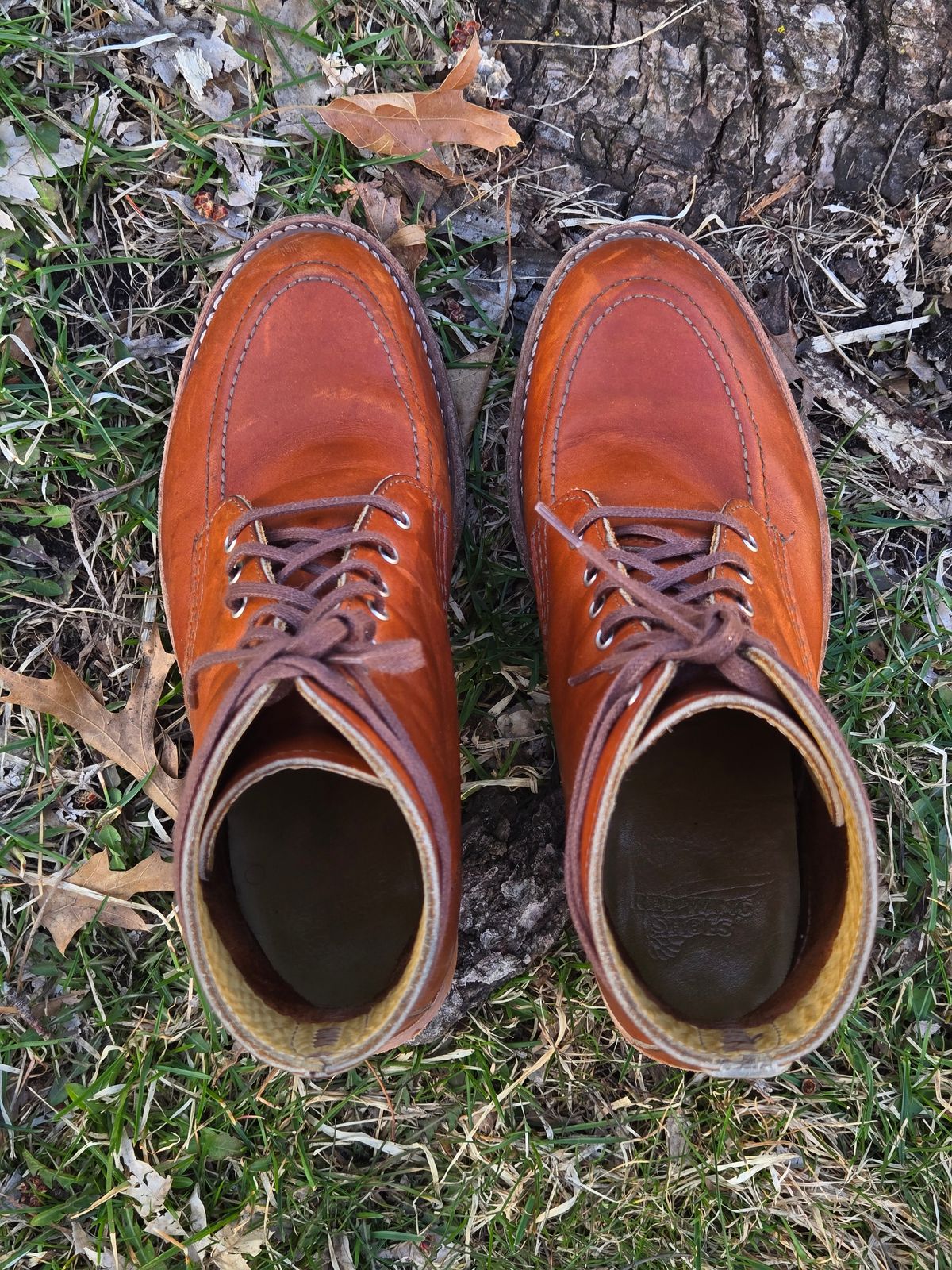 Photo by alleycat on April 5, 2026 of the Red Wing Clara in S.B. Foot Oro Legacy.