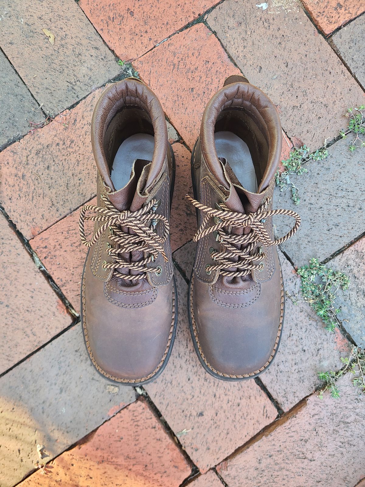 Photo by Lazarey on November 5, 2024 of the The Courteney Boot Company Safari (custom) in Mossop Leather - Dark Brown Bovine.