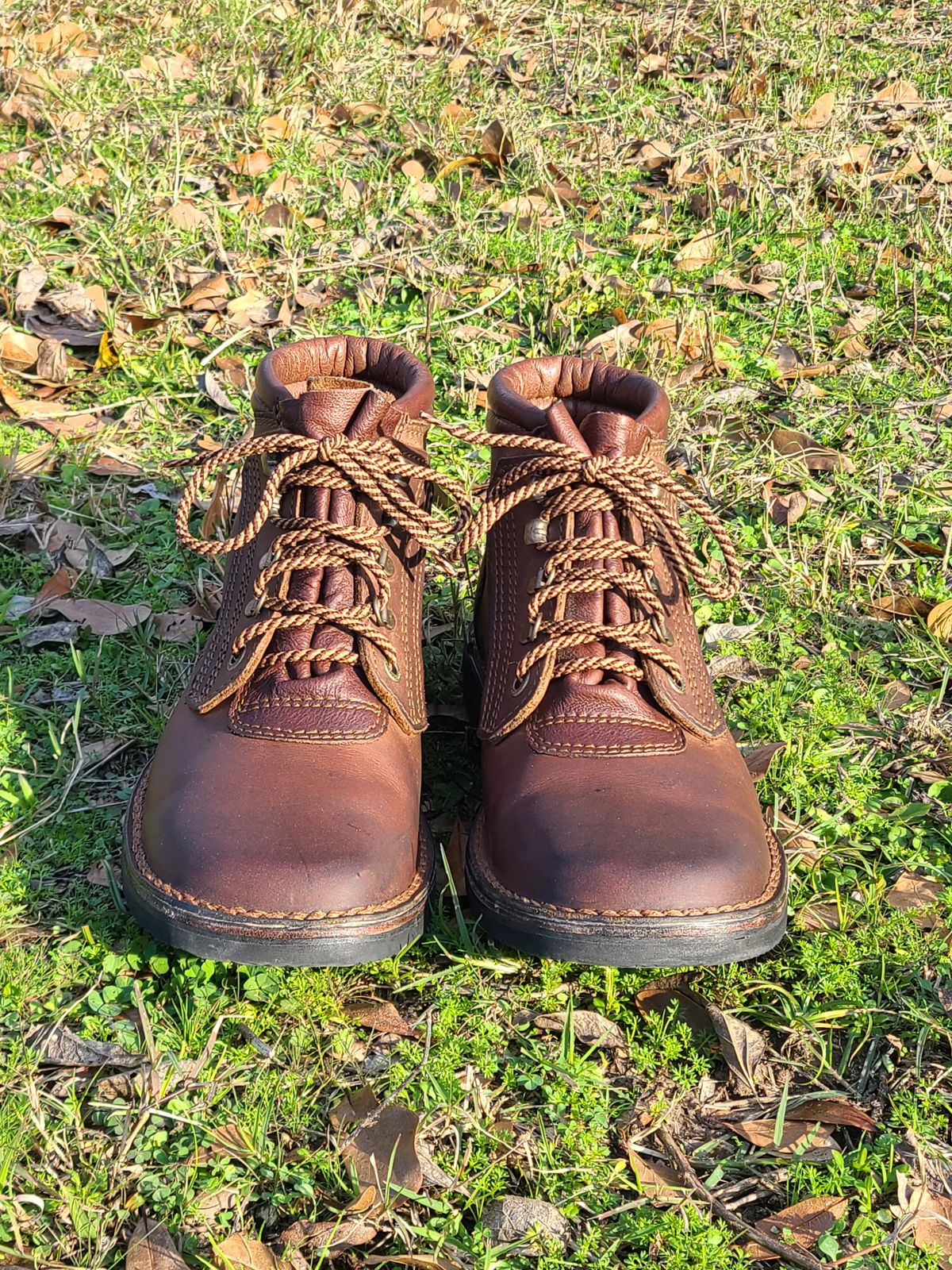 Photo by Lazarey on January 5, 2025 of the The Courteney Boot Company Safari (custom) in Mossop Leather - Dark Brown Bovine.