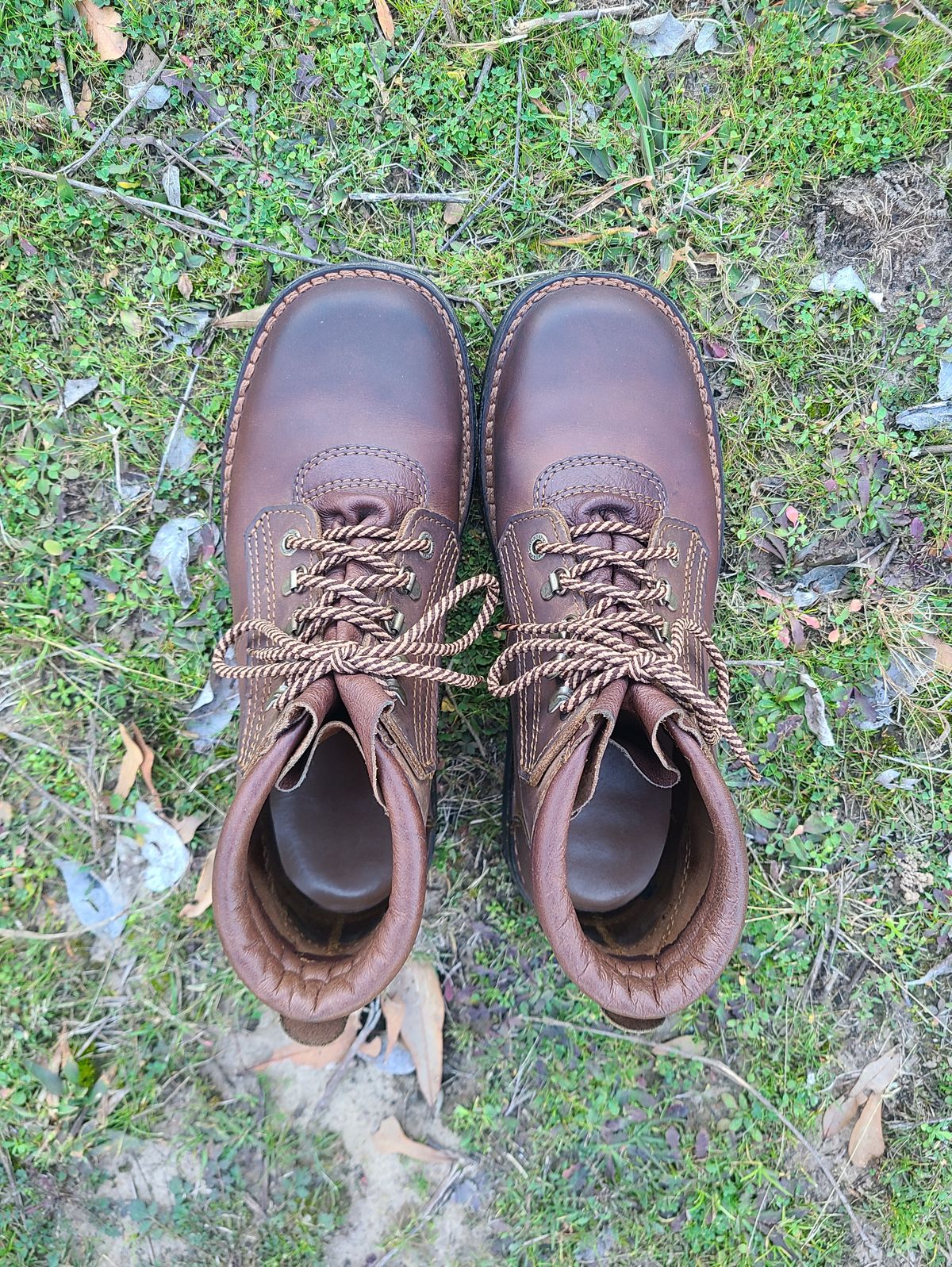 Photo by Lazarey on February 3, 2025 of the The Courteney Boot Company Safari (custom) in Mossop Leather - Dark Brown Bovine.