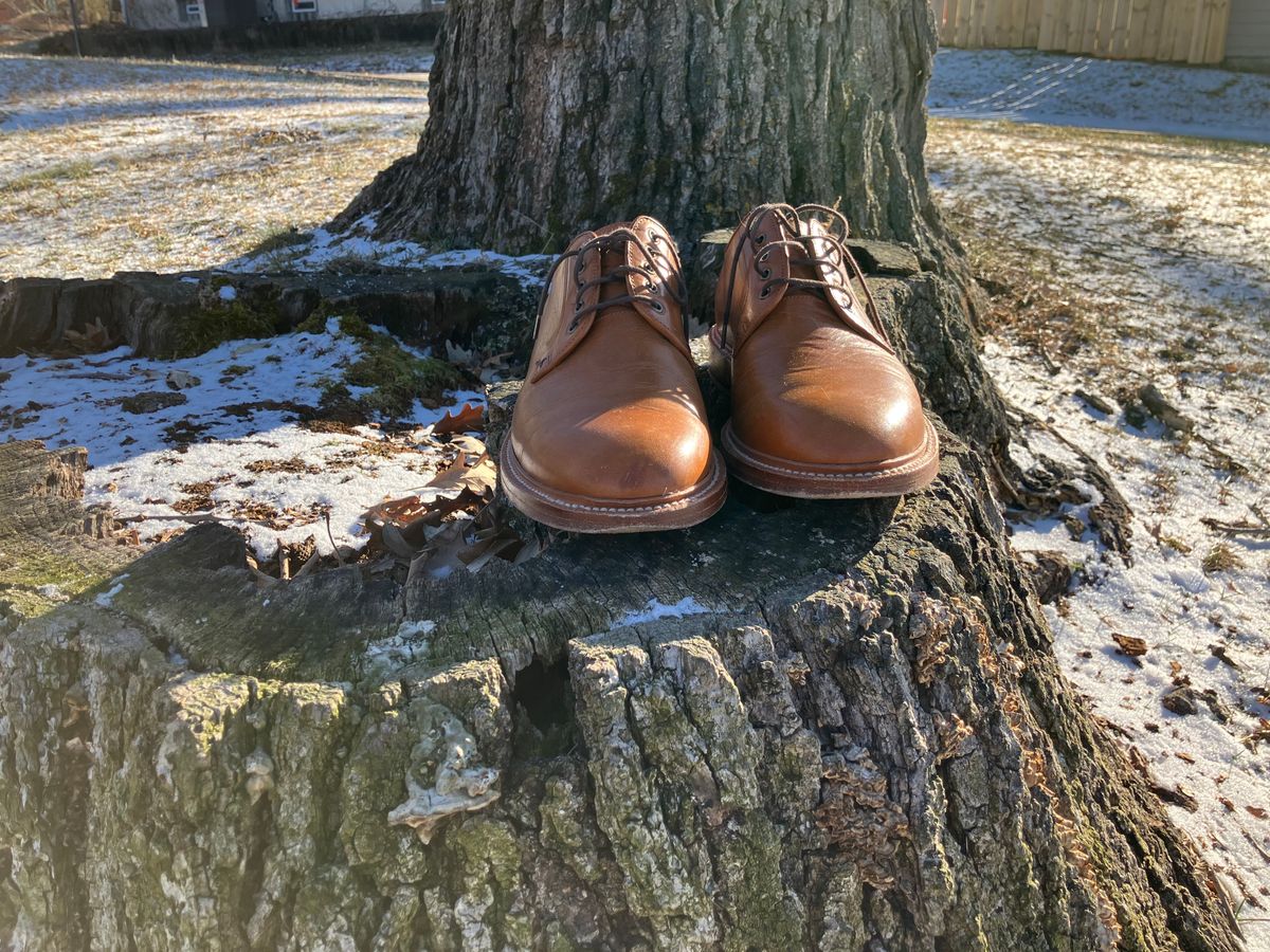 Photo by yoemanrandcorp on December 6, 2024 of the Grant Stone Plain Toe Blucher in Badalassi Carlo Saddle Tan Minerva.