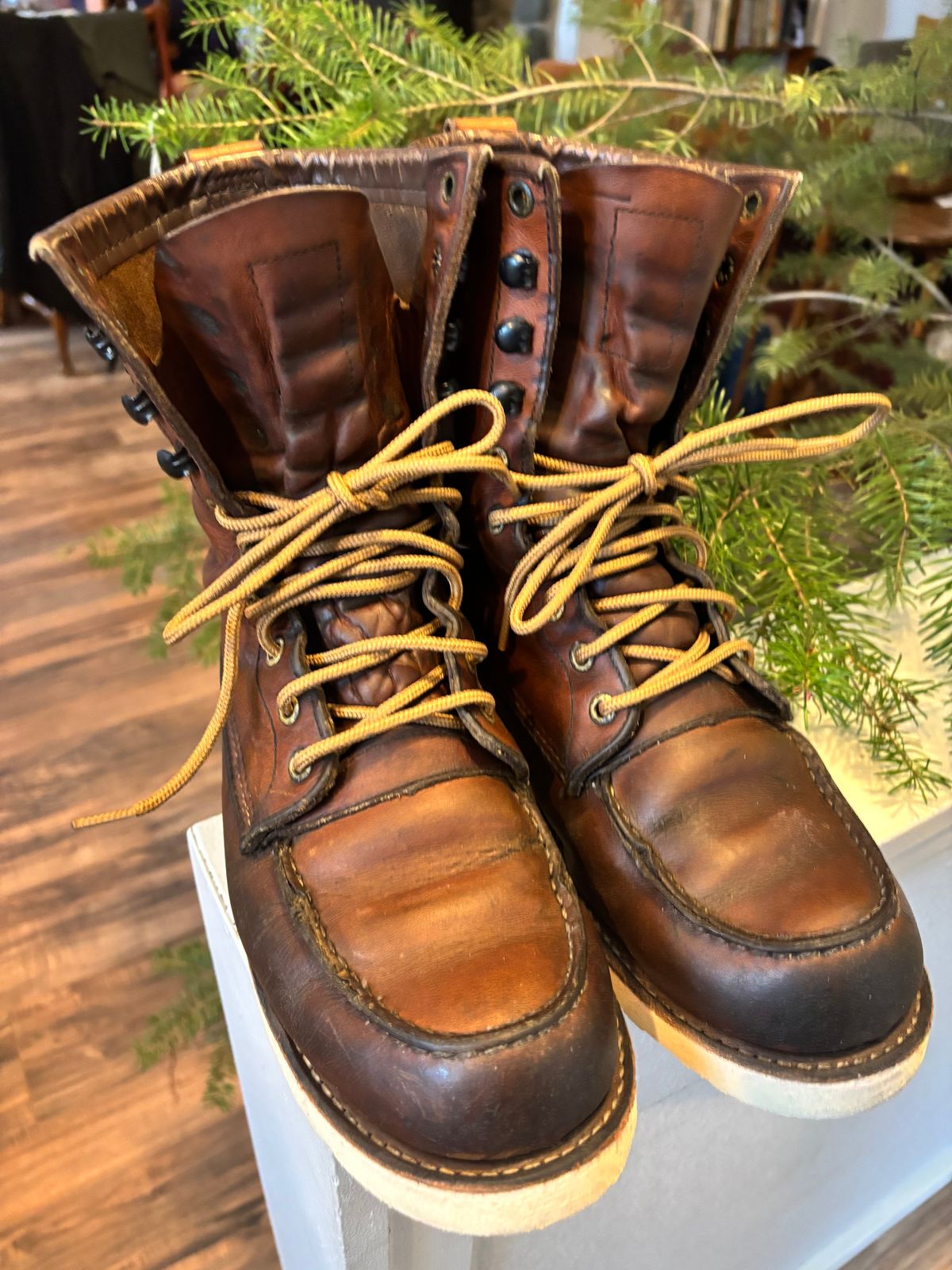 Photo by backcut on December 20, 2024 of the Red Wing 8-Inch Classic Moc in S.B. Foot Oro-Iginal.