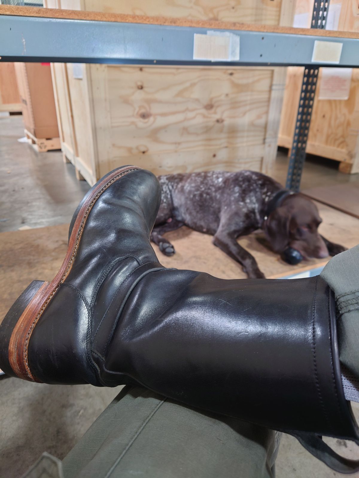 Photo by BarhinBhatt on March 13, 2025 of the Blkbrd Shoemaker Engineer in Maryam Black Horsehide.