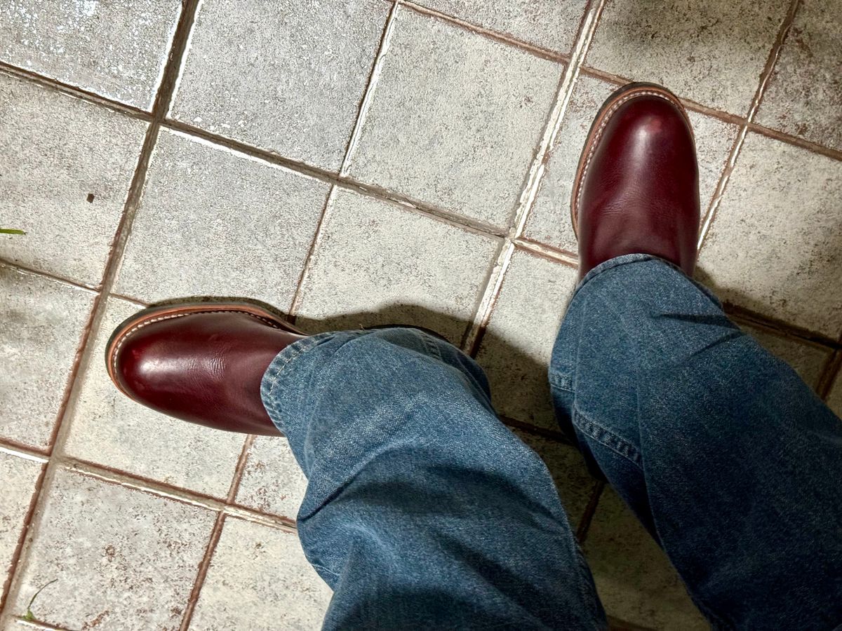 Photo by Lingo on May 22, 2026 of the Chippewa 7" Engineer Boot in Brunette Waterproof Full Grain.