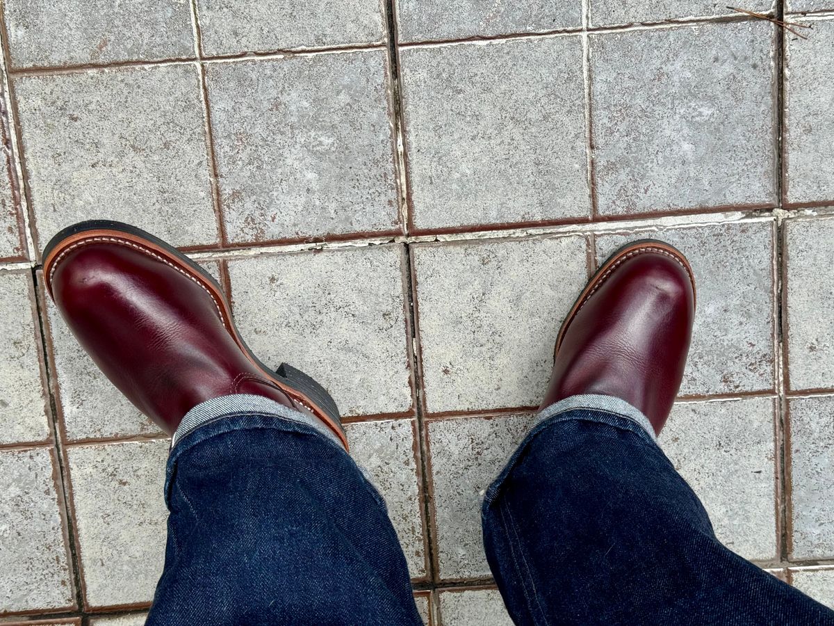 Photo by Lingo on May 28, 2026 of the Chippewa 7" Engineer Boot in Brunette Waterproof Full Grain.