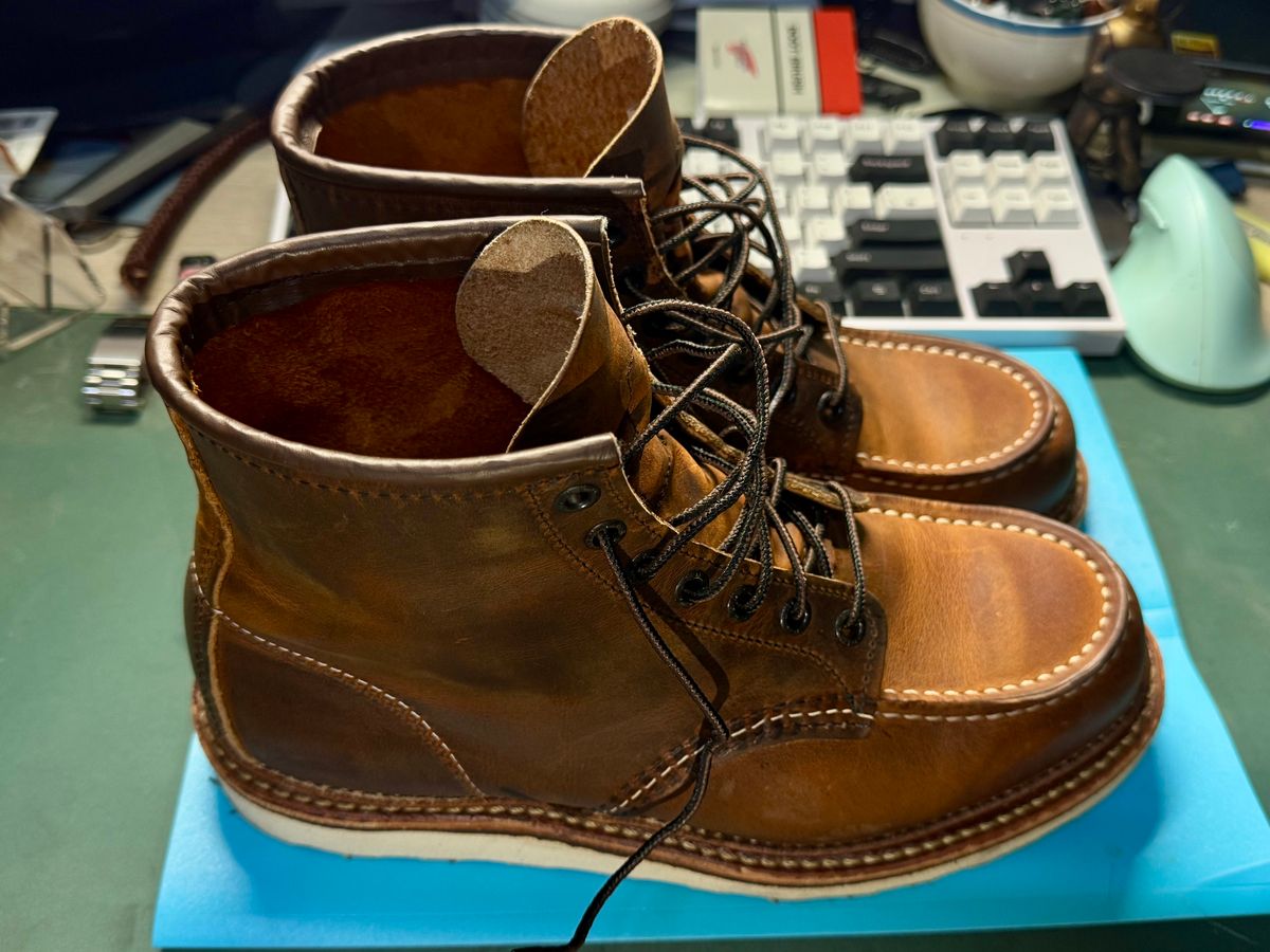 Photo by Lingo on March 4, 2026 of the Red Wing 1907 in S.B. Foot Copper Rough and Tough.