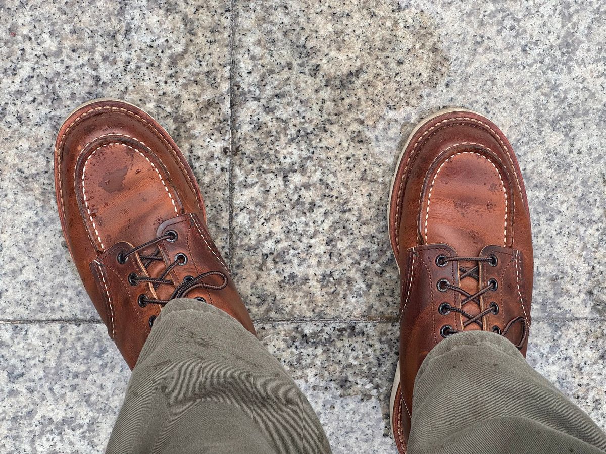Photo by Lingo on May 7, 2026 of the Red Wing 1907 in S.B. Foot Copper Rough and Tough.