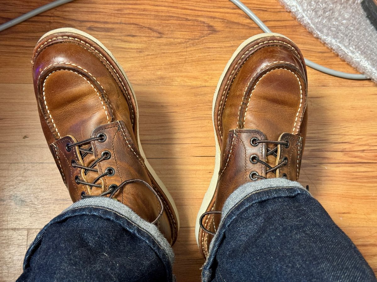 Photo by Lingo on June 13, 2026 of the Red Wing 1907 in S.B. Foot Copper Rough and Tough.