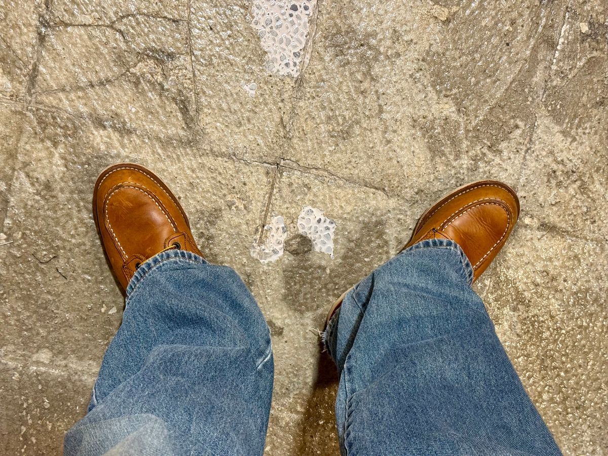 Photo by Lingo on March 16, 2026 of the Red Wing 6-Inch Classic Moc in S.B. Foot Oro Legacy.