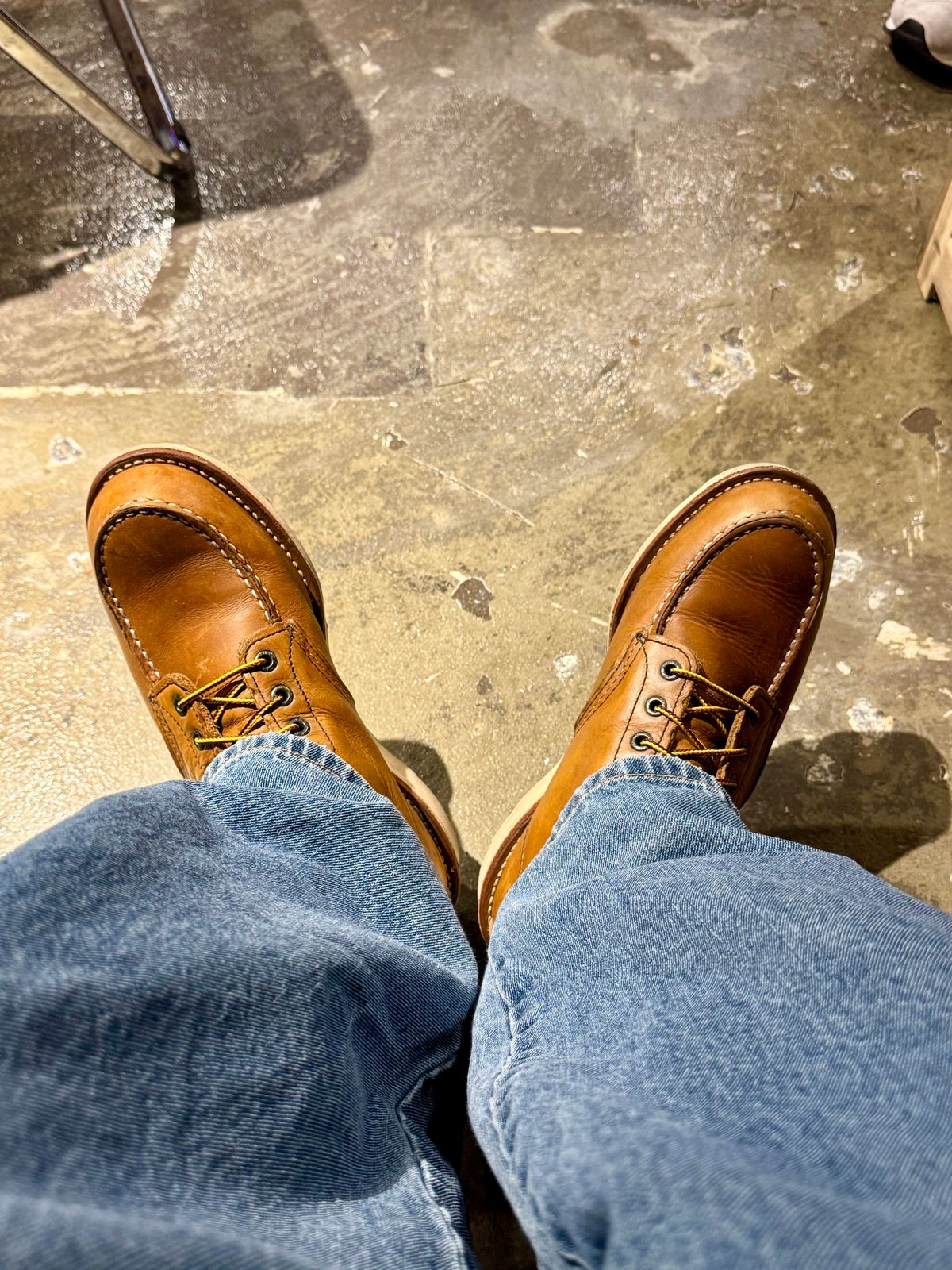 Photo by Lingo on March 16, 2026 of the Red Wing 6-Inch Classic Moc in S.B. Foot Oro Legacy.