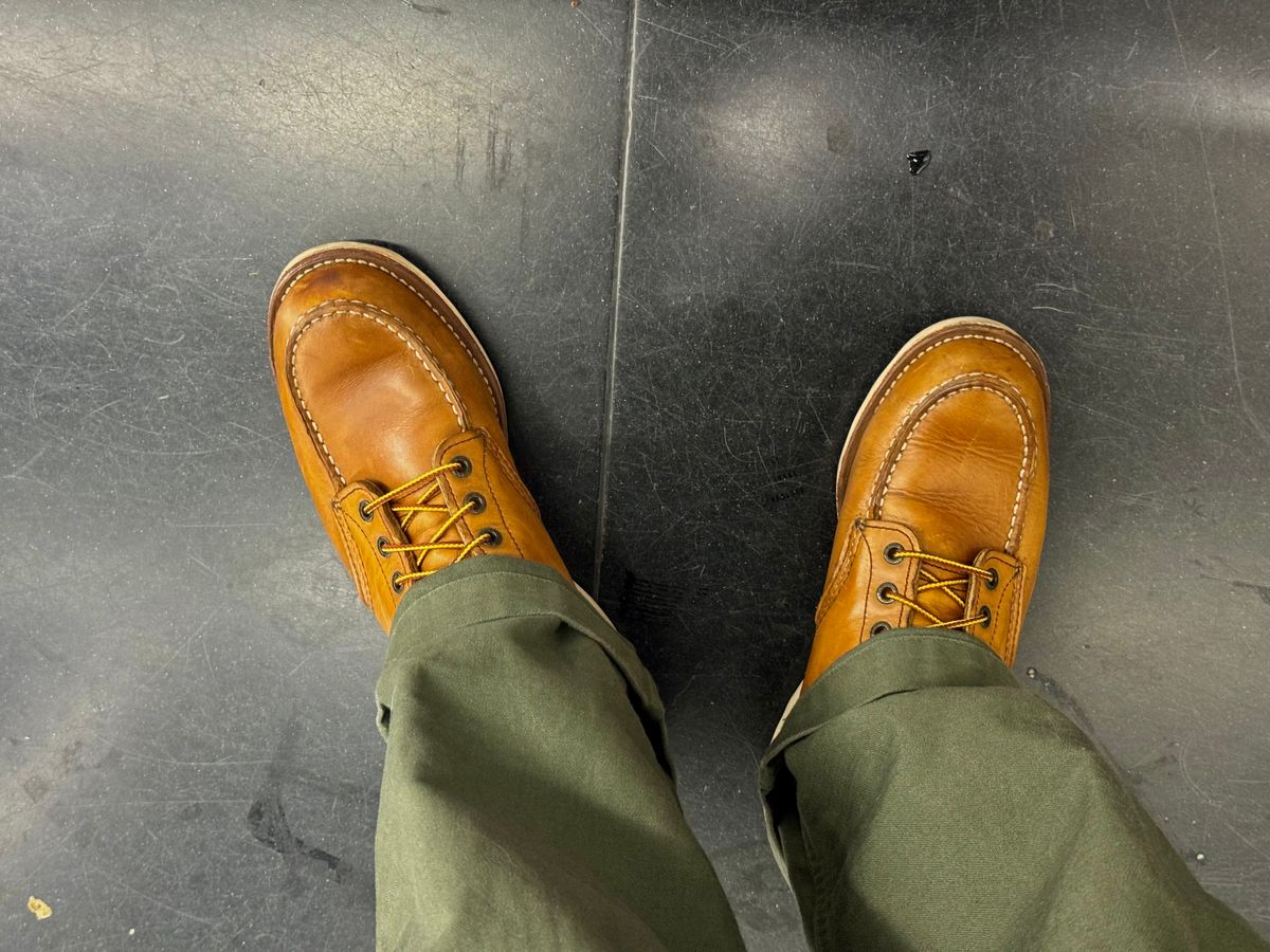 Photo by Lingo on April 28, 2026 of the Red Wing 6-Inch Classic Moc in S.B. Foot Oro Legacy.