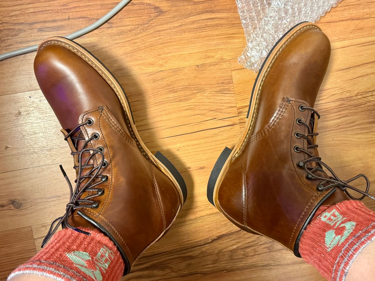 Photo by Lingo on June 30, 2026 of the Red Wing Beckman in S.B. Foot Cigar Excalibur.