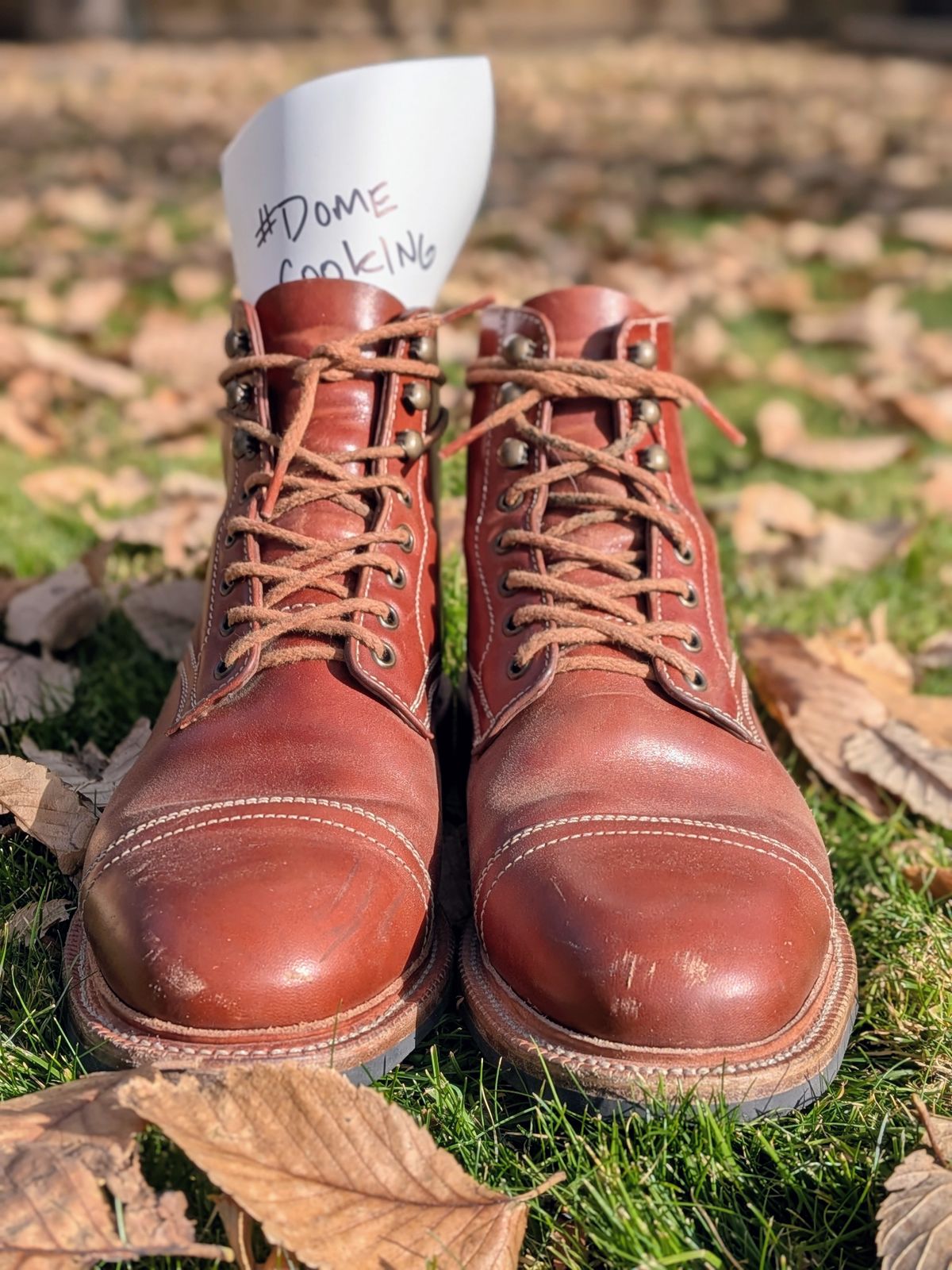 Photo by Cellardoor on November 3, 2025 of the Parkhurst The Richmond in Maryam Bruciato TPR Horsebutt.