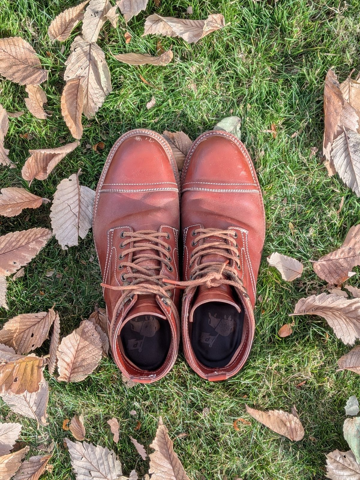 Photo by Cellardoor on November 3, 2025 of the Parkhurst The Richmond in Maryam Bruciato TPR Horsebutt.