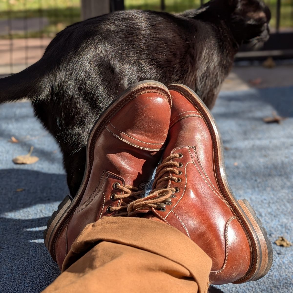 Photo by Cellardoor on November 10, 2025 of the Parkhurst The Richmond in Maryam Bruciato TPR Horsebutt.