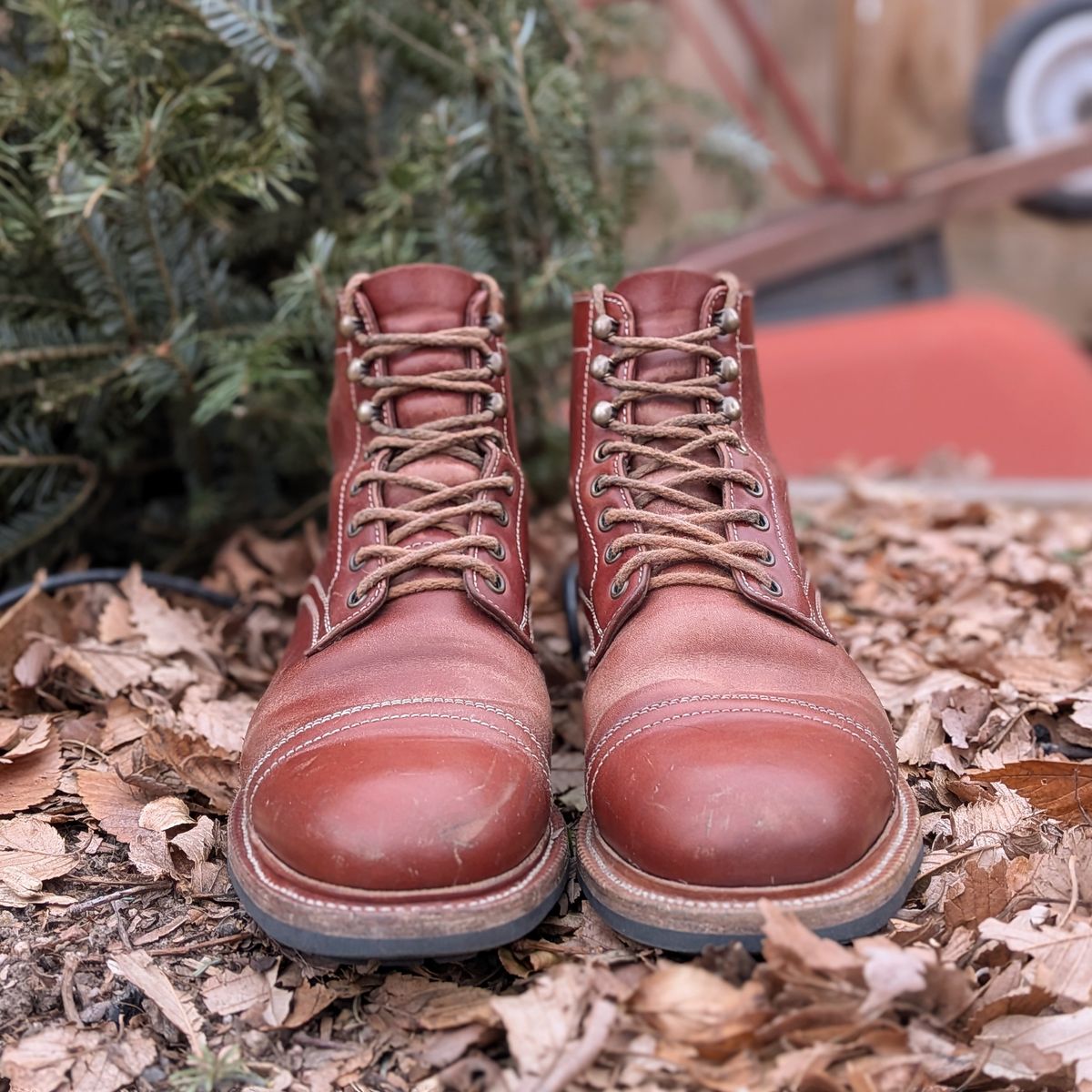 Photo by Cellardoor on January 1, 2026 of the Parkhurst The Richmond in Maryam Bruciato TPR Horsebutt.