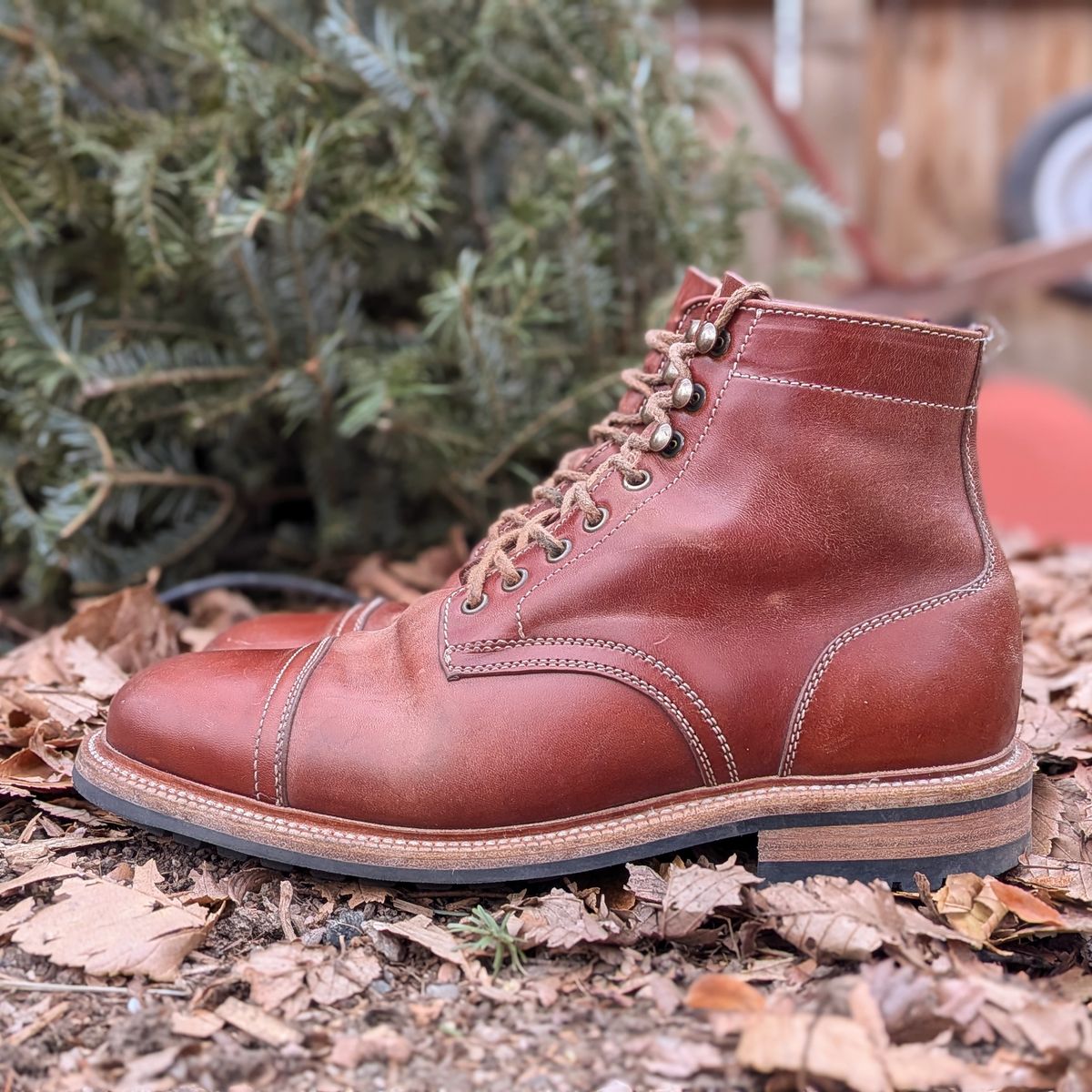 Photo by Cellardoor on January 1, 2026 of the Parkhurst The Richmond in Maryam Bruciato TPR Horsebutt.