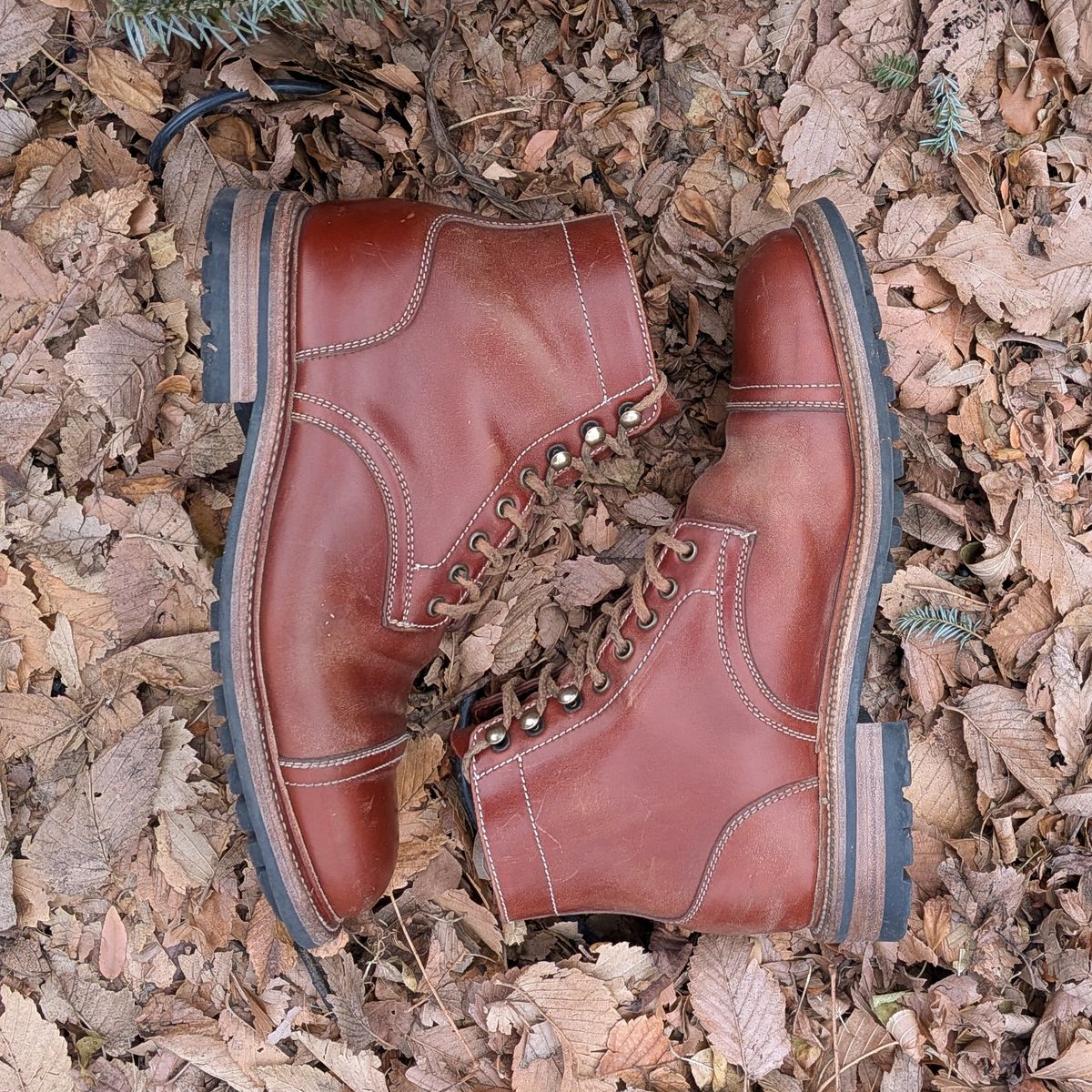 Photo by Cellardoor on January 1, 2026 of the Parkhurst The Richmond in Maryam Bruciato TPR Horsebutt.