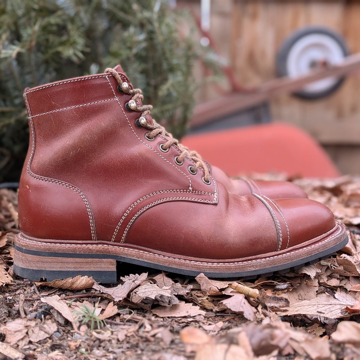 Photo by Cellardoor on January 1, 2026 of the Parkhurst The Richmond in Maryam Bruciato TPR Horsebutt.