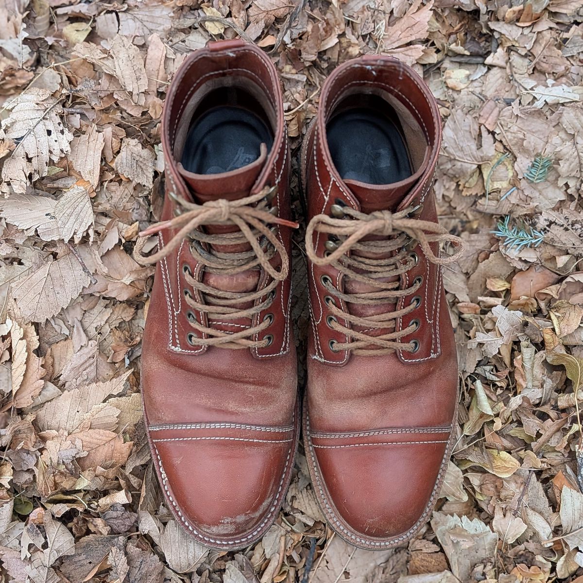 Photo by Cellardoor on January 1, 2026 of the Parkhurst The Richmond in Maryam Bruciato TPR Horsebutt.