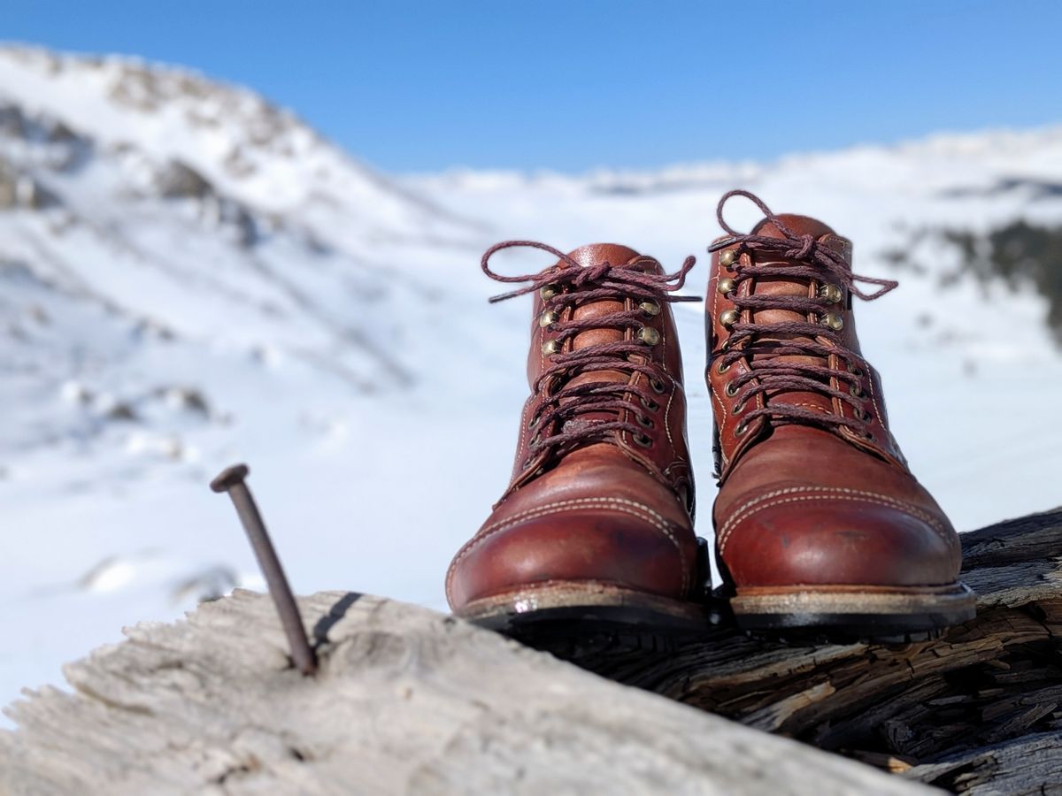 Photo by Cellardoor on March 20, 2026 of the Parkhurst The Richmond in Maryam Bruciato TPR Horsebutt.