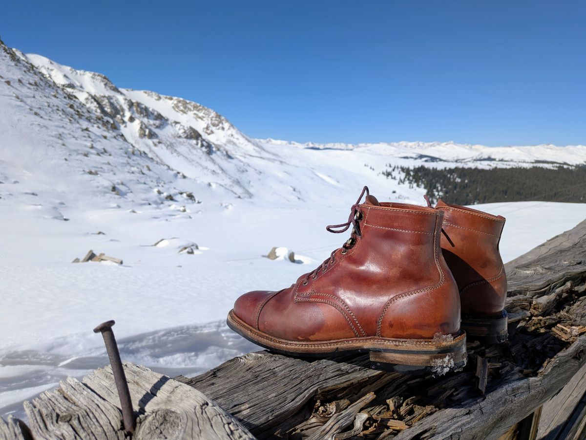 Photo by Cellardoor on March 20, 2026 of the Parkhurst The Richmond in Maryam Bruciato TPR Horsebutt.