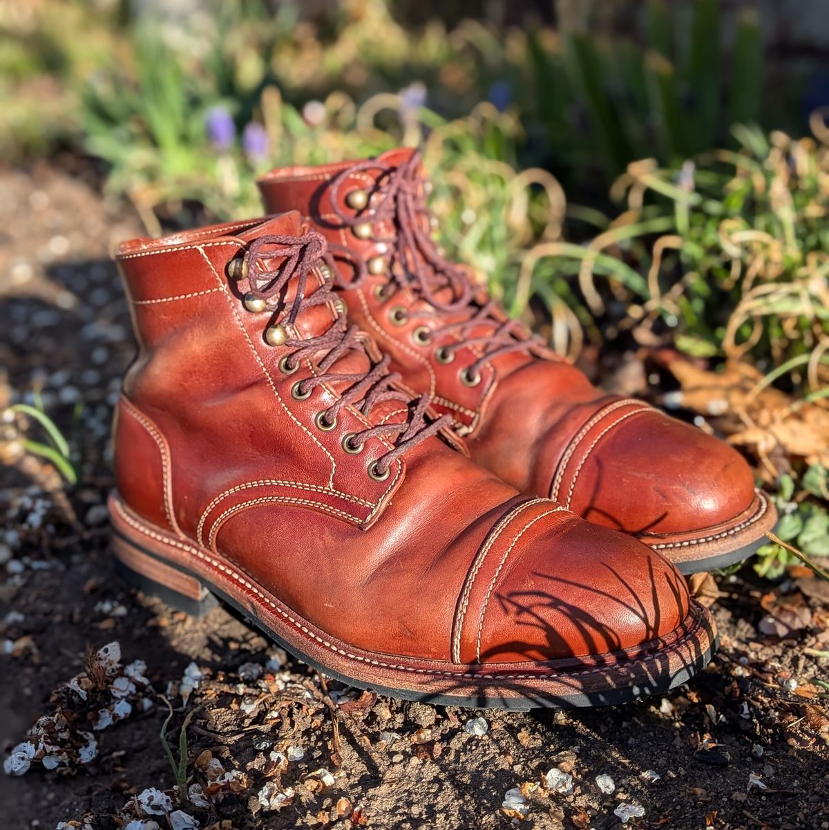 Photo by Cellardoor on April 4, 2026 of the Parkhurst The Richmond in Maryam Bruciato TPR Horsebutt.