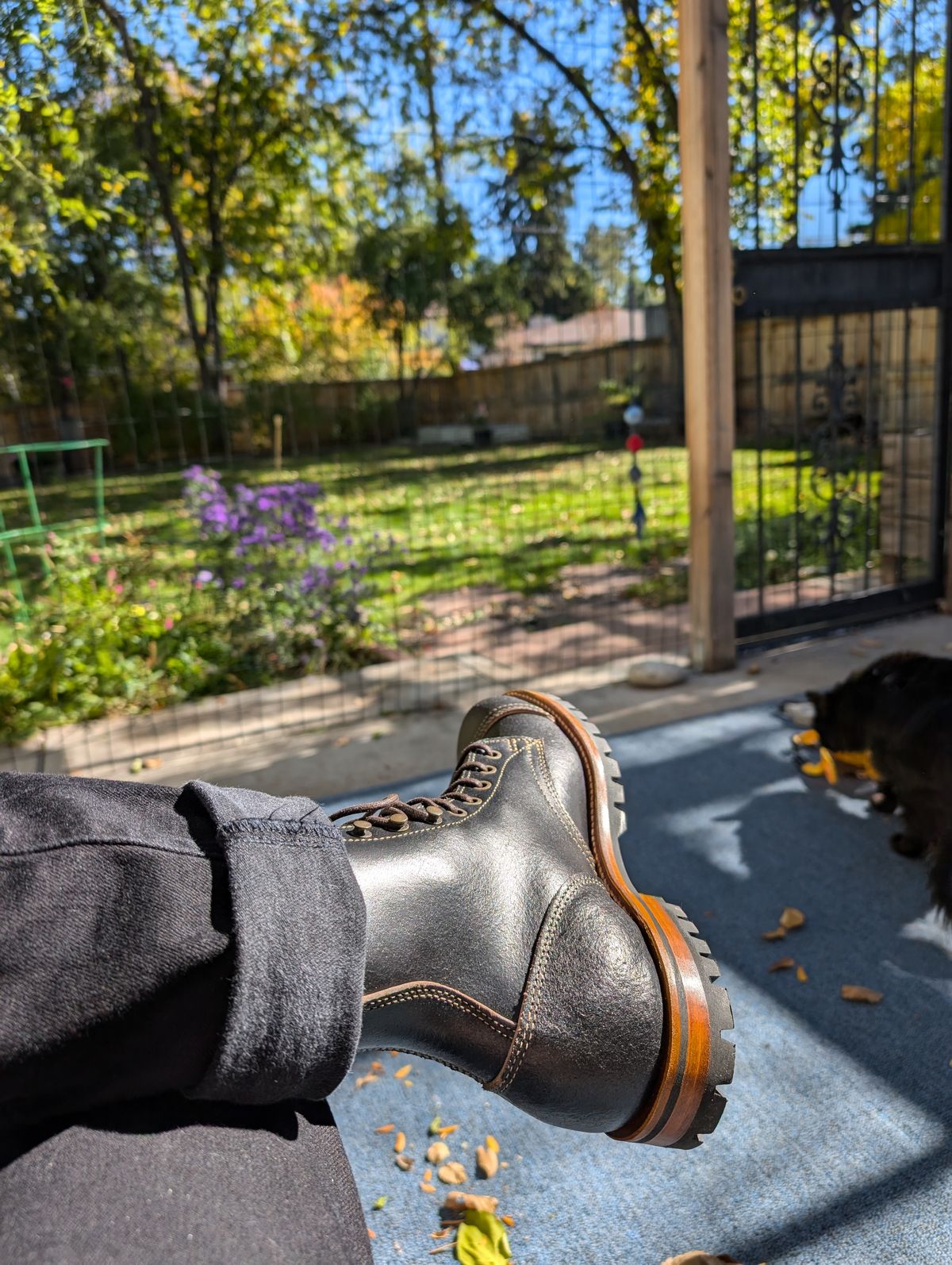 Photo by Cellardoor on November 5, 2024 of the Truman Cap Toe Boot in Horween Black Waxed Flesh.