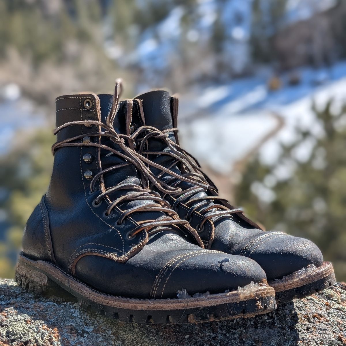 Photo by Cellardoor on January 30, 2025 of the Truman Cap Toe Boot in Horween Black Waxed Flesh.