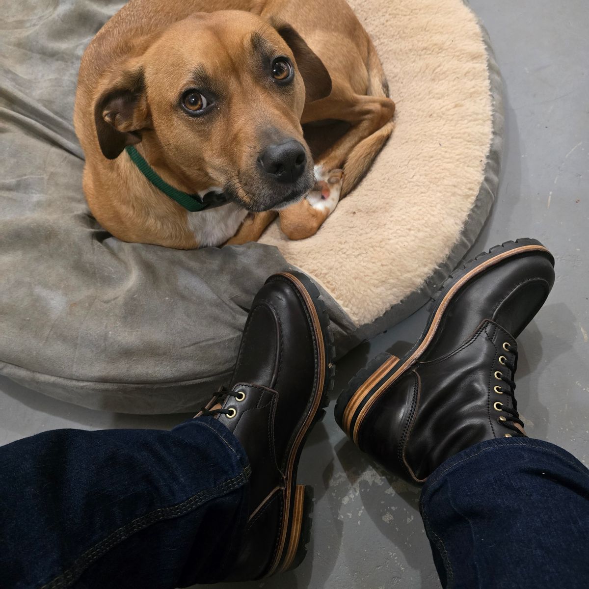 Photo by joshvarnum on October 30, 2025 of the BHHB Custom Model in Overdye Seidel Oxblood Double Shot & Horween Natural Chromexcel.