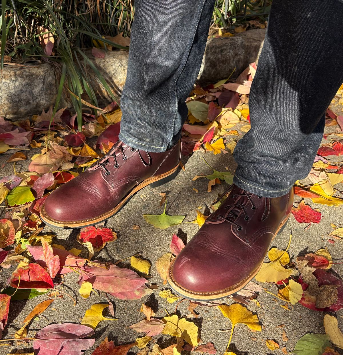 Photo by Shrimpy_grits on November 6, 2025 of the Red Wing Beckman in S.B. Foot Black Cherry Excalibur.