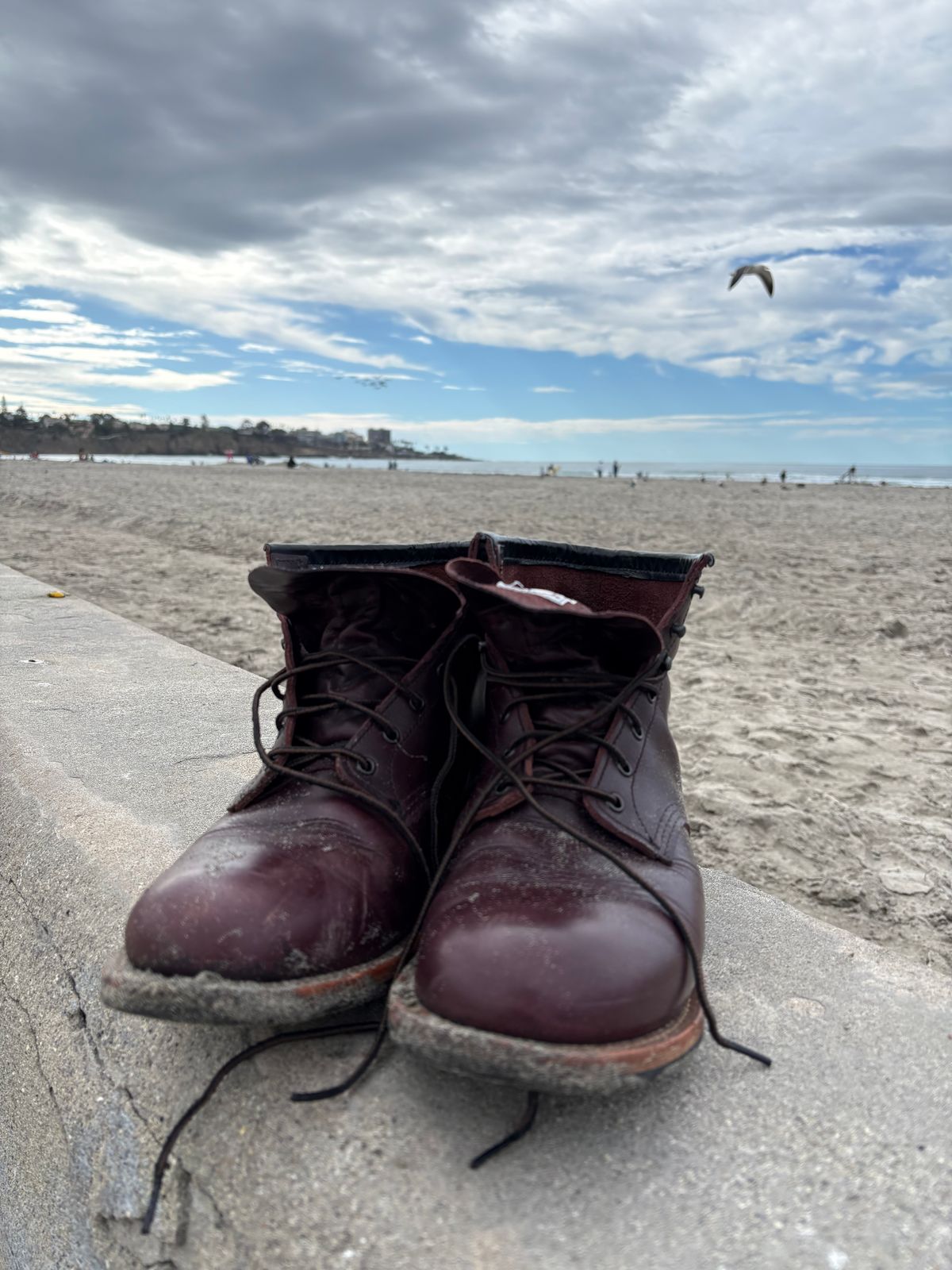 Photo by Shrimpy_grits on November 22, 2025 of the Red Wing Beckman in S.B. Foot Black Cherry Excalibur.