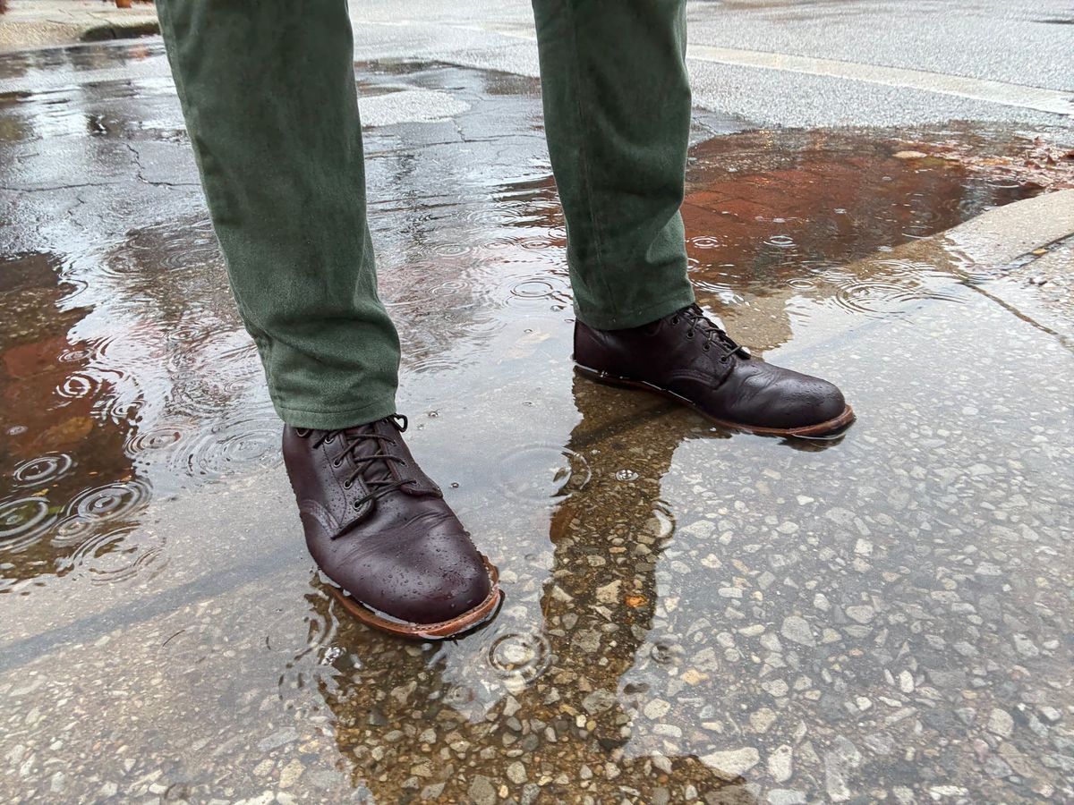 Photo by Shrimpy_grits on December 2, 2025 of the Red Wing Beckman in S.B. Foot Black Cherry Excalibur.