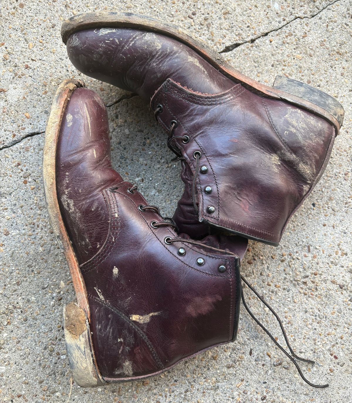 Photo by Shrimpy_grits on December 7, 2025 of the Red Wing Beckman in S.B. Foot Black Cherry Excalibur.