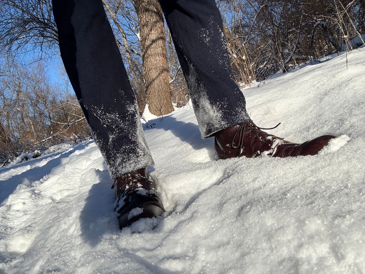 Photo by Shrimpy_grits on January 1, 2026 of the Red Wing Beckman in S.B. Foot Black Cherry Excalibur.