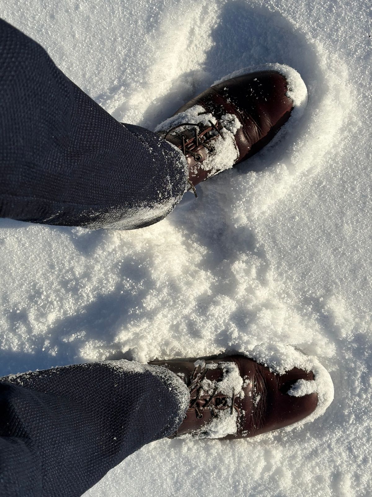 Photo by Shrimpy_grits on January 1, 2026 of the Red Wing Beckman in S.B. Foot Black Cherry Excalibur.