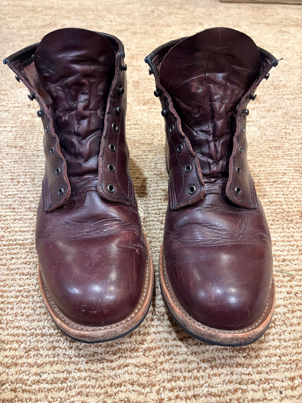 Photo by Shrimpy_grits on January 5, 2026 of the Red Wing Beckman in S.B. Foot Black Cherry Excalibur.