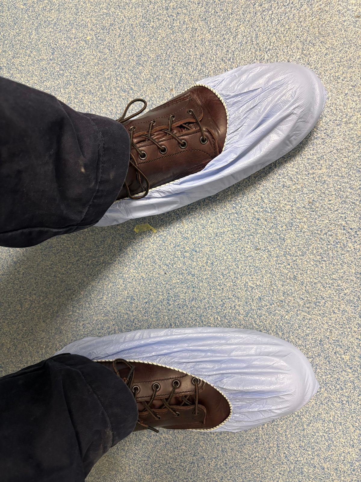 Photo by Shrimpy_grits on January 6, 2026 of the Red Wing Beckman in S.B. Foot Black Cherry Excalibur.