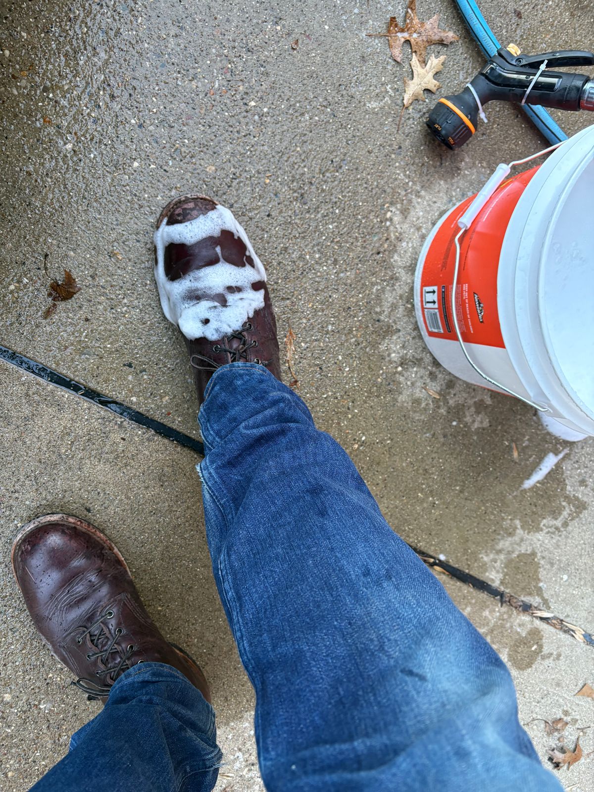 Photo by Shrimpy_grits on February 28, 2026 of the Red Wing Beckman in S.B. Foot Black Cherry Excalibur.