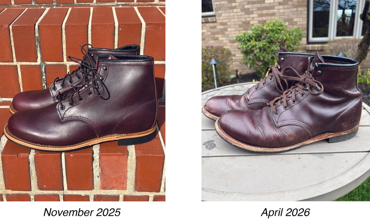 Photo by Shrimpy_grits on April 9, 2026 of the Red Wing Beckman in S.B. Foot Black Cherry Excalibur.