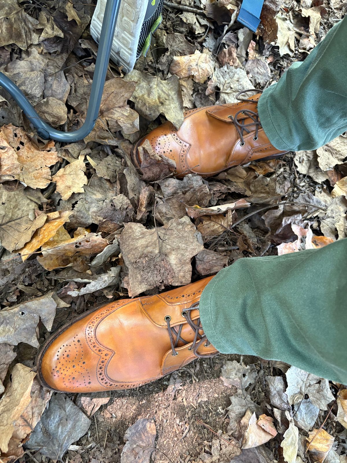 Photo by olorin on October 5, 2025 of the Allen Edmonds Dalton Wingtip Dress Boot in Walnut Calfskin.