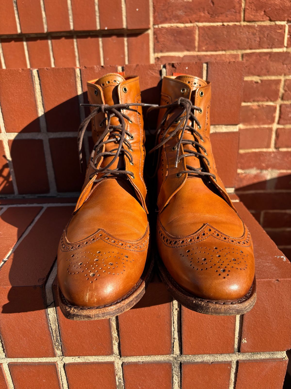 Photo by olorin on October 5, 2025 of the Allen Edmonds Dalton Wingtip Dress Boot in Walnut Calfskin.