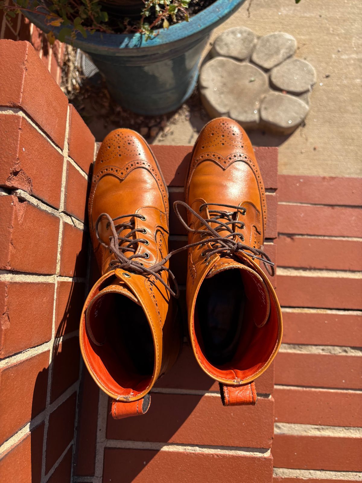 Photo by olorin on October 5, 2025 of the Allen Edmonds Dalton Wingtip Dress Boot in Walnut Calfskin.