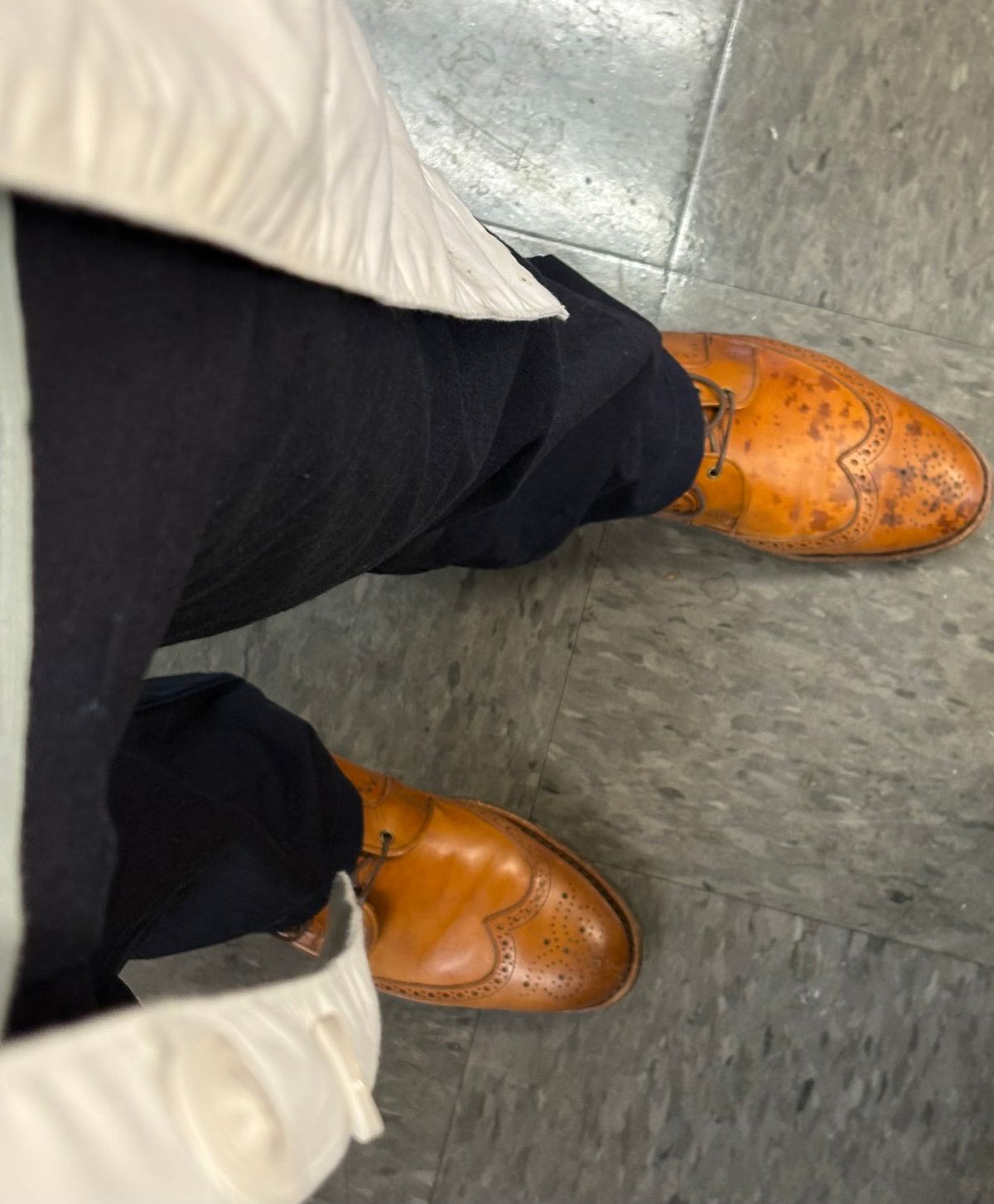 Photo by olorin on October 6, 2025 of the Allen Edmonds Dalton Wingtip Dress Boot in Walnut Calfskin.