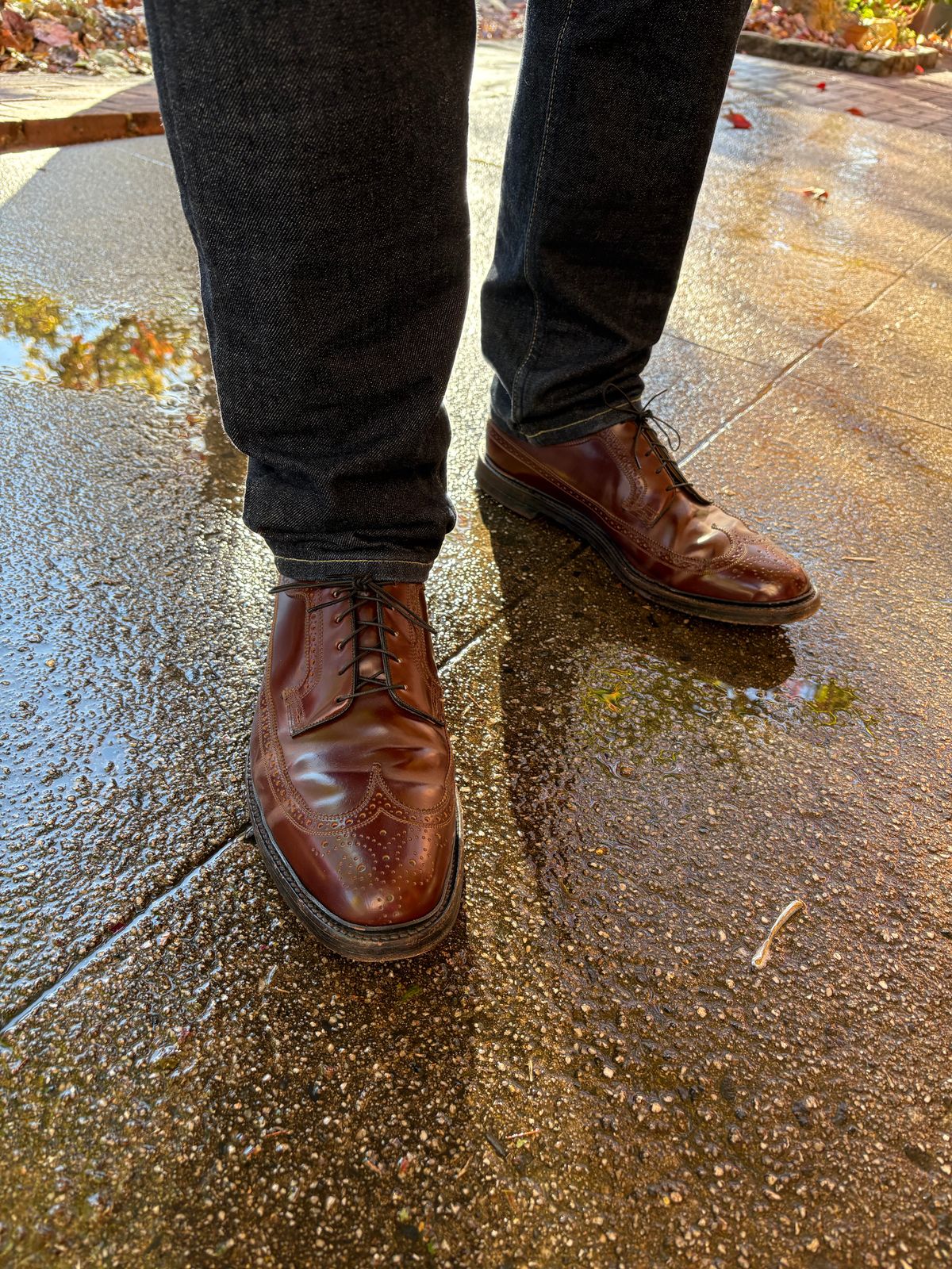 Photo by Shrimpy_grits on November 5, 2025 of the Florsheim Imperial Kenmoor 93605 in Horween Color 4 Shell Cordovan.